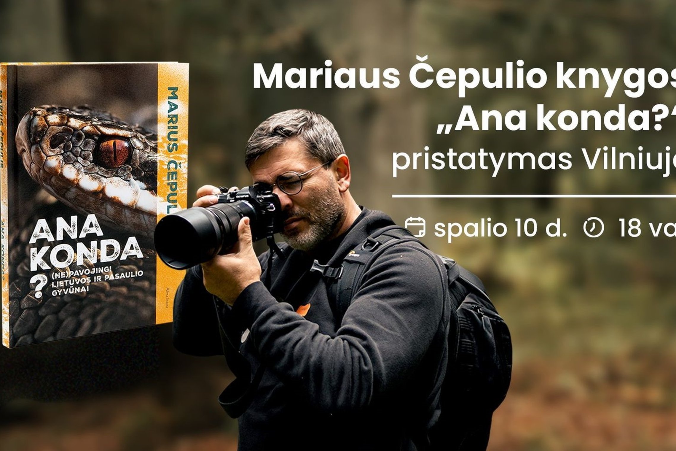Iliustracija