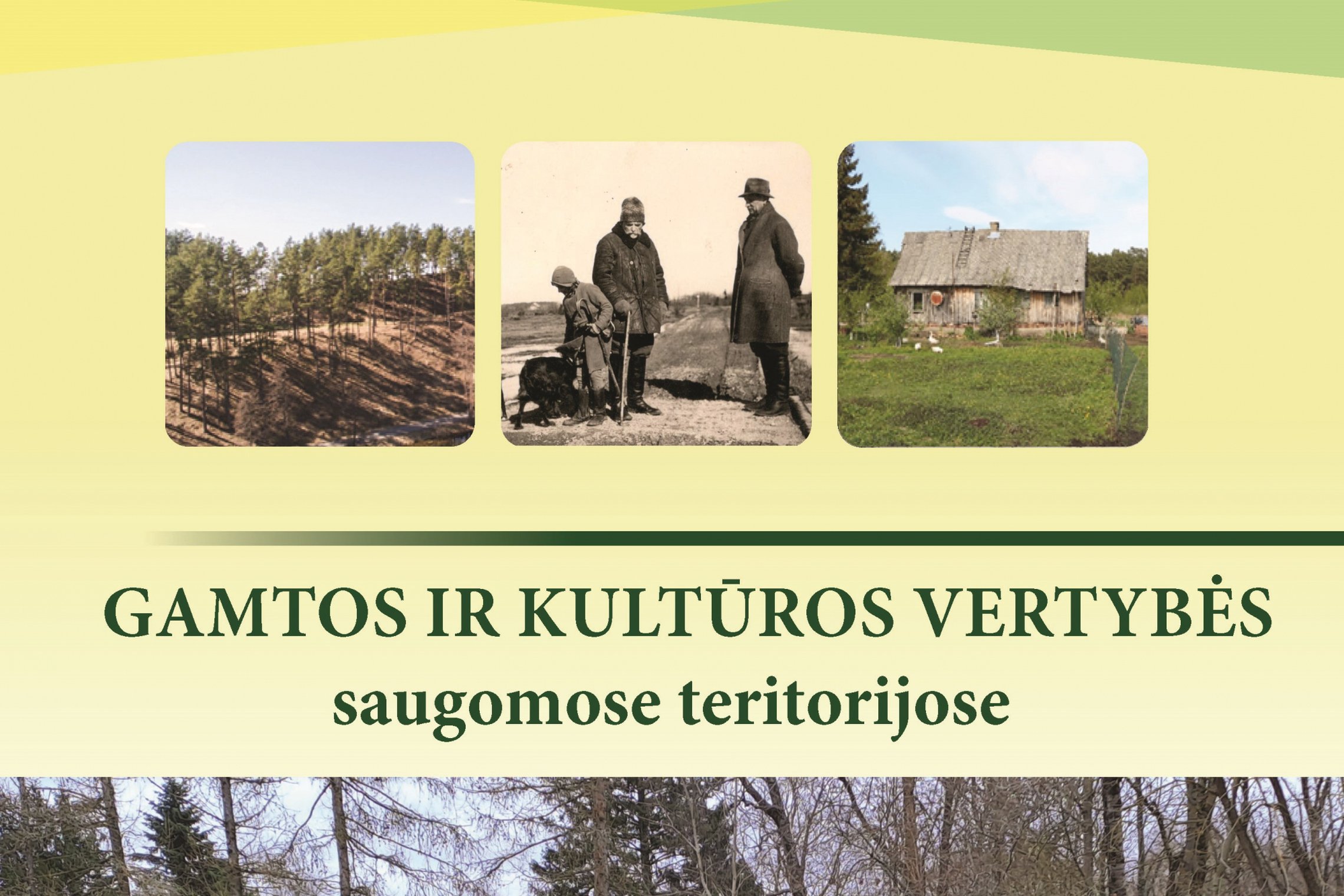 Iliustracija