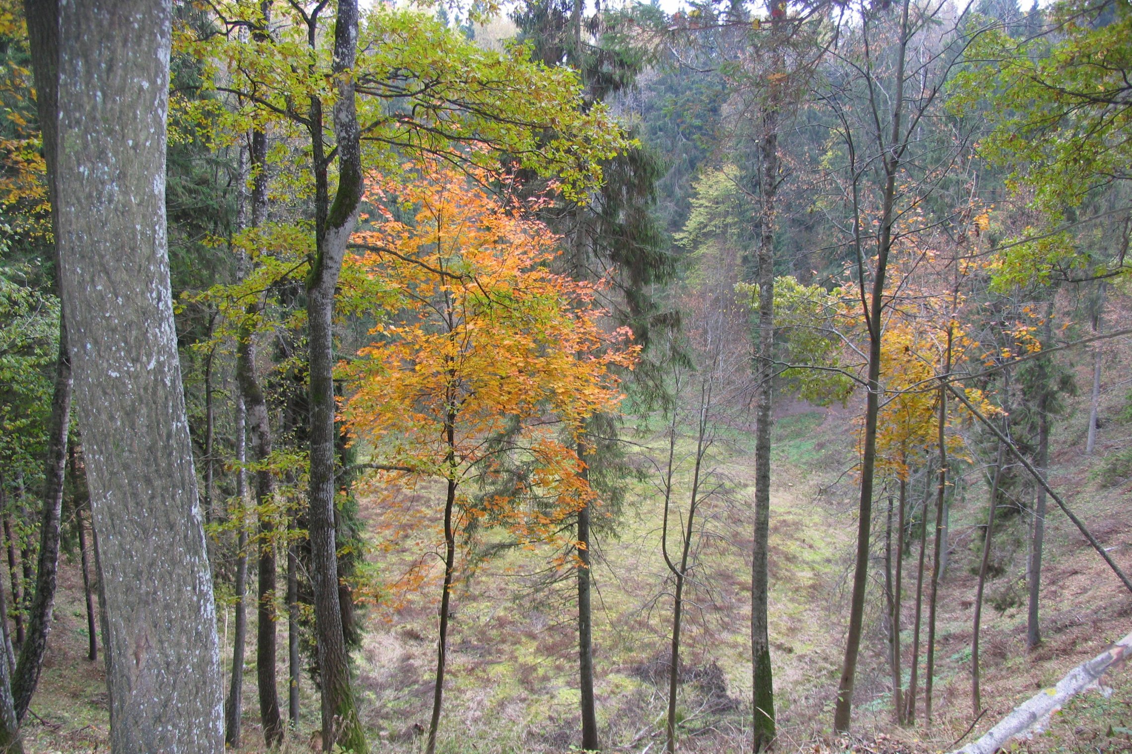 Iliustracija
