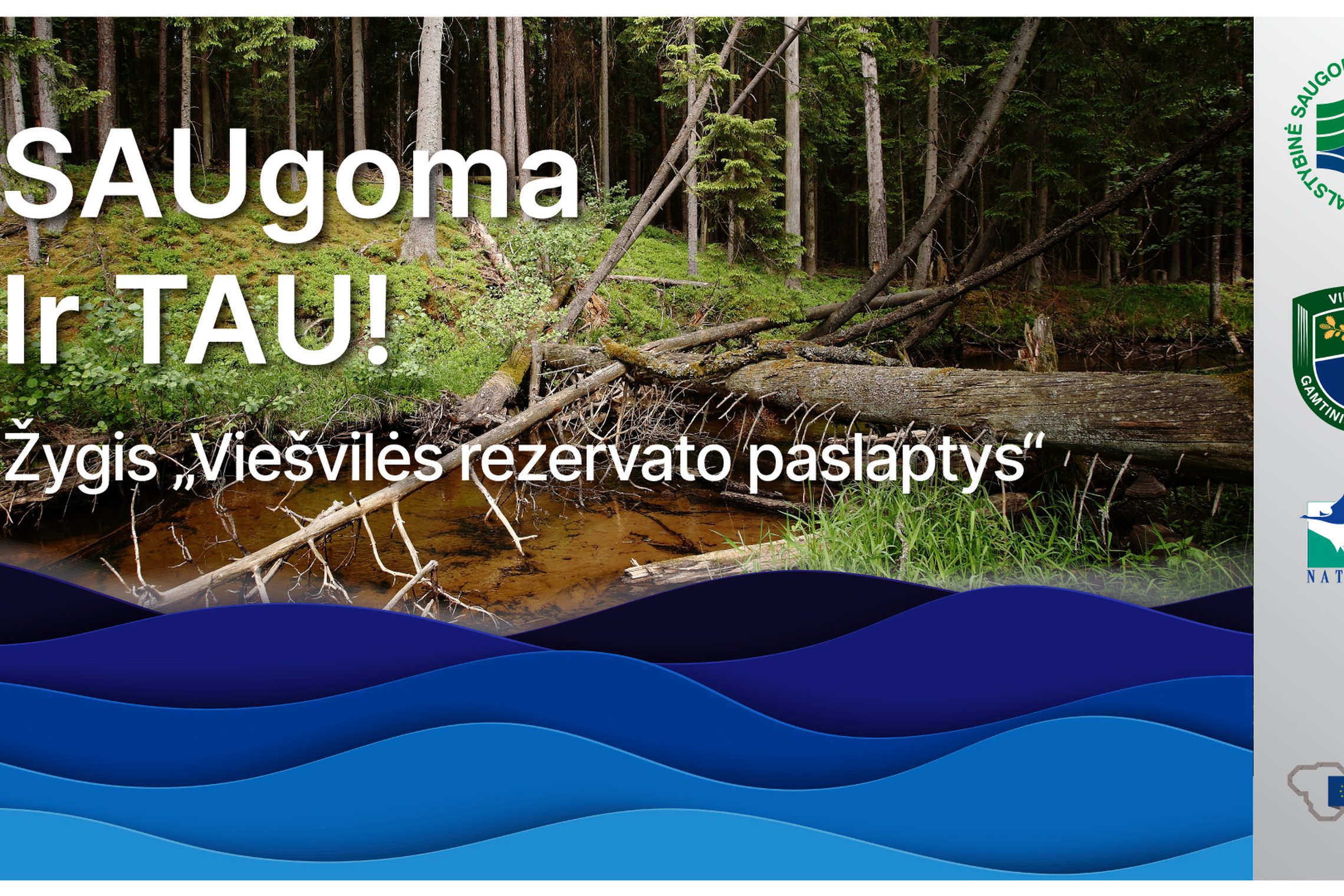 Iliustracija