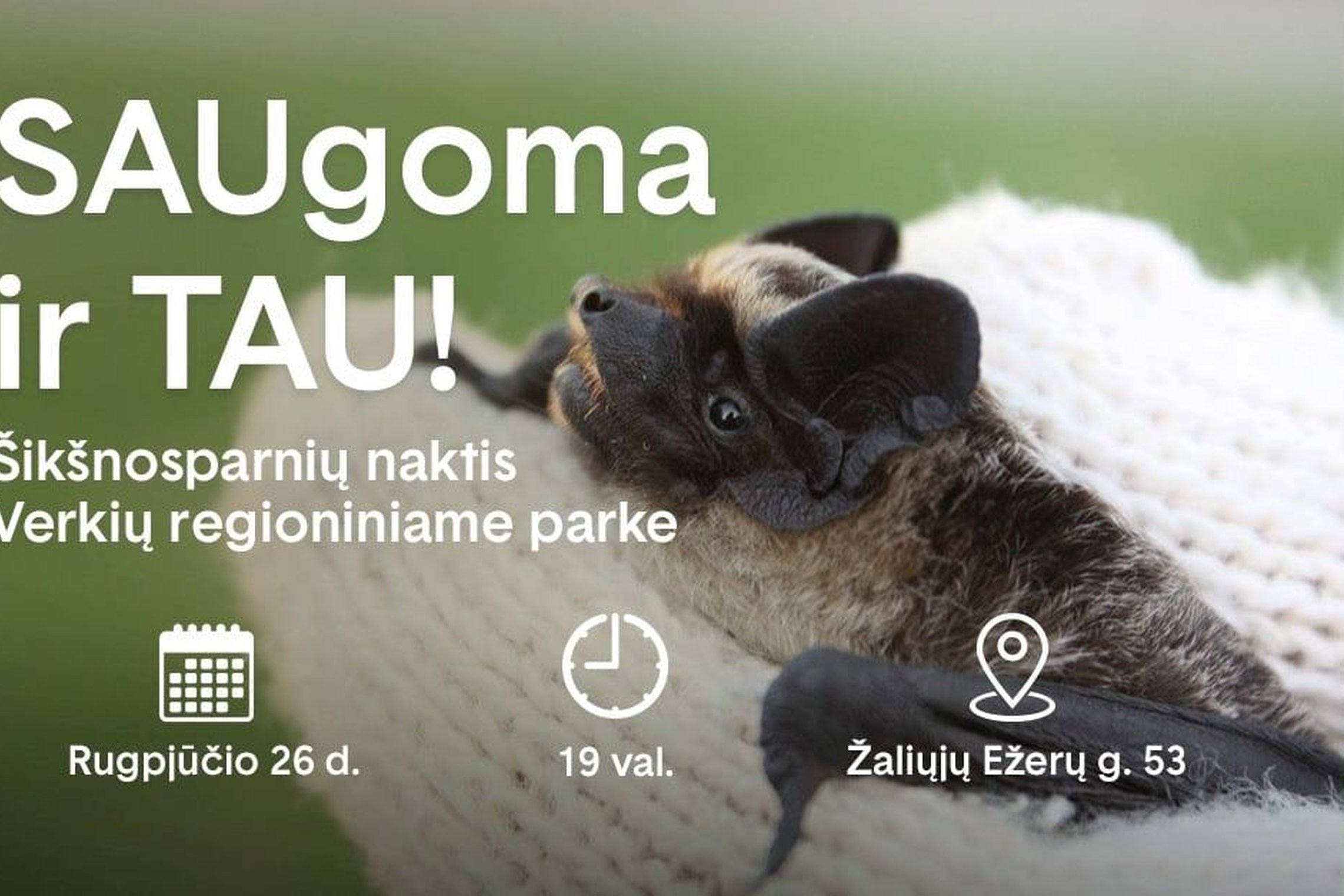 Iliustracija