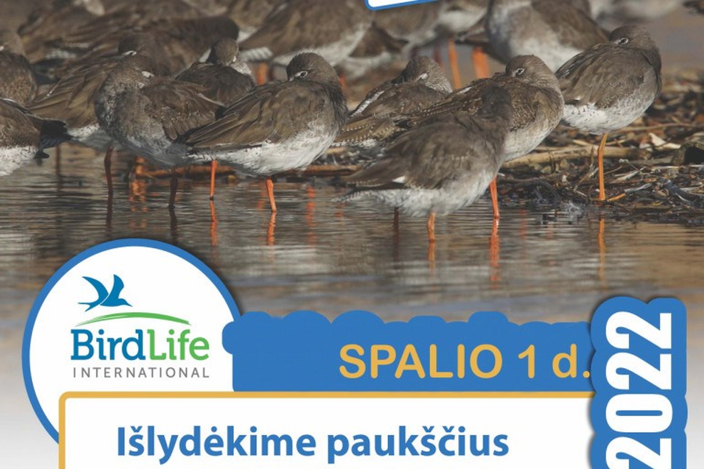 Iliustracija