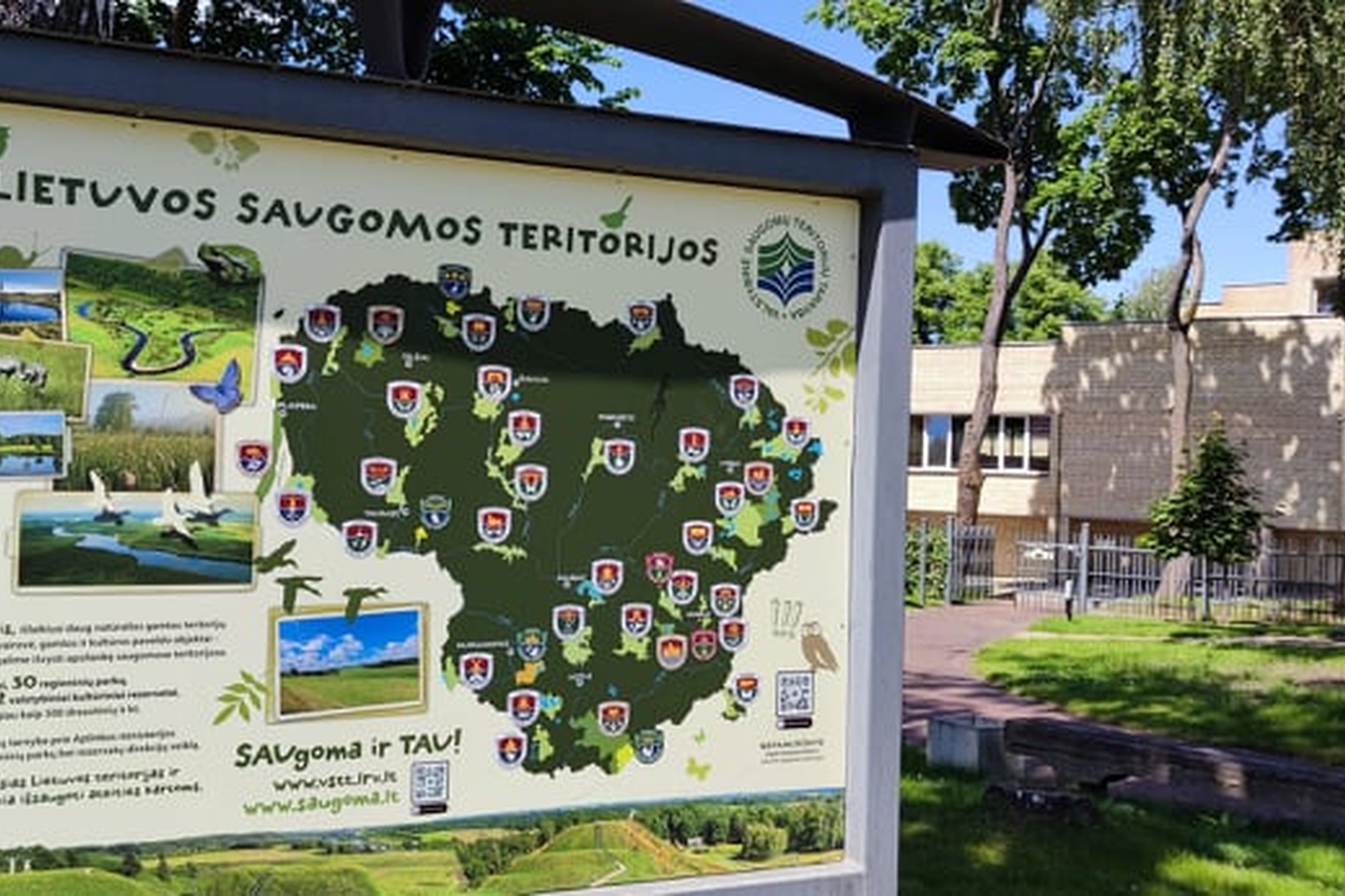 Iliustracija