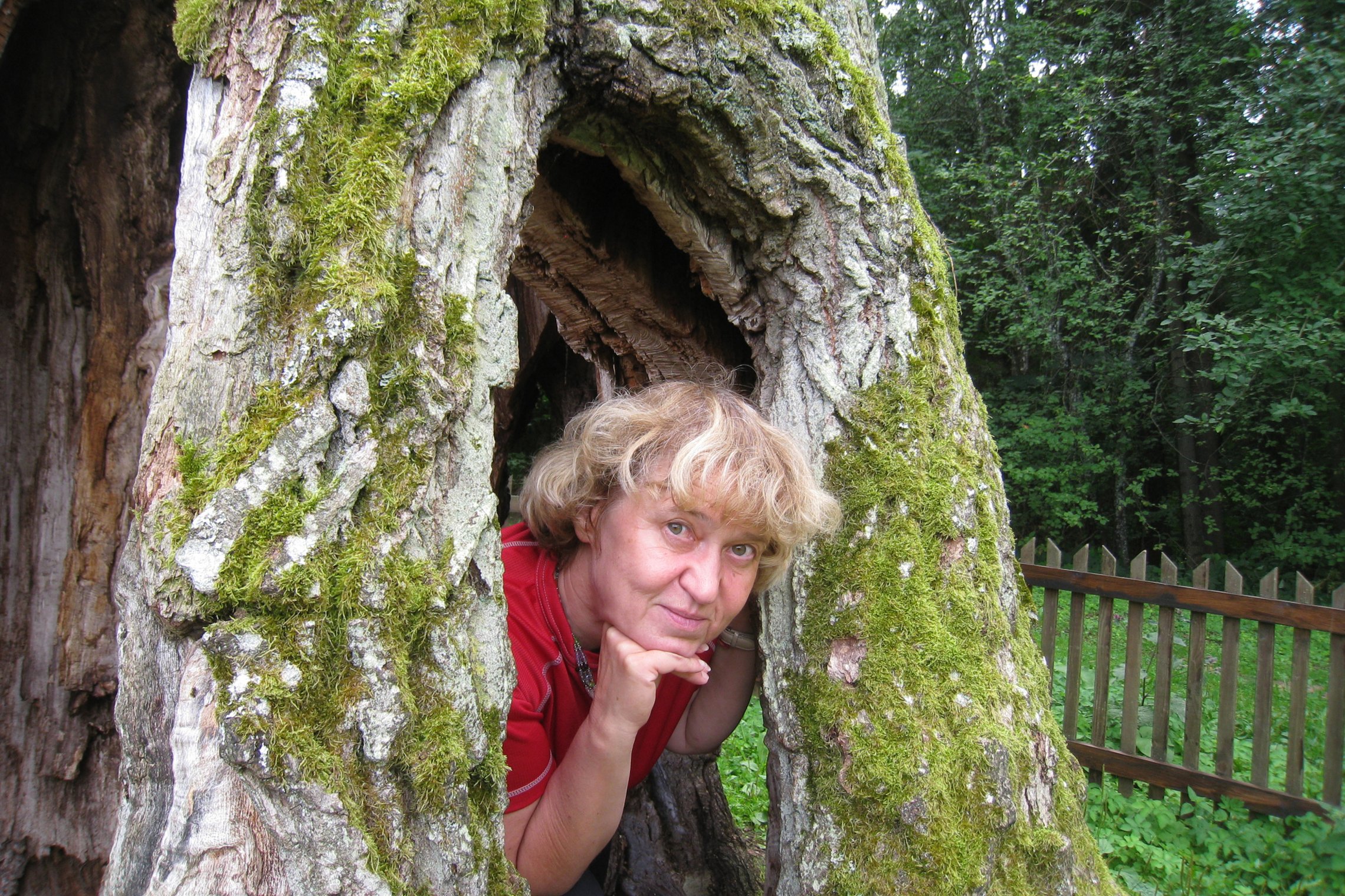 Iliustracija