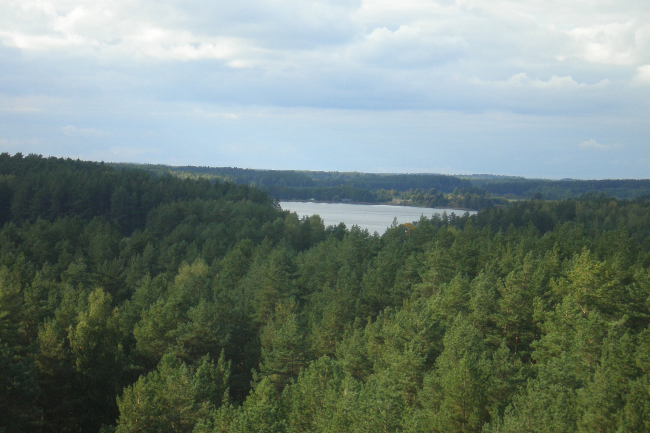 Iliustracija