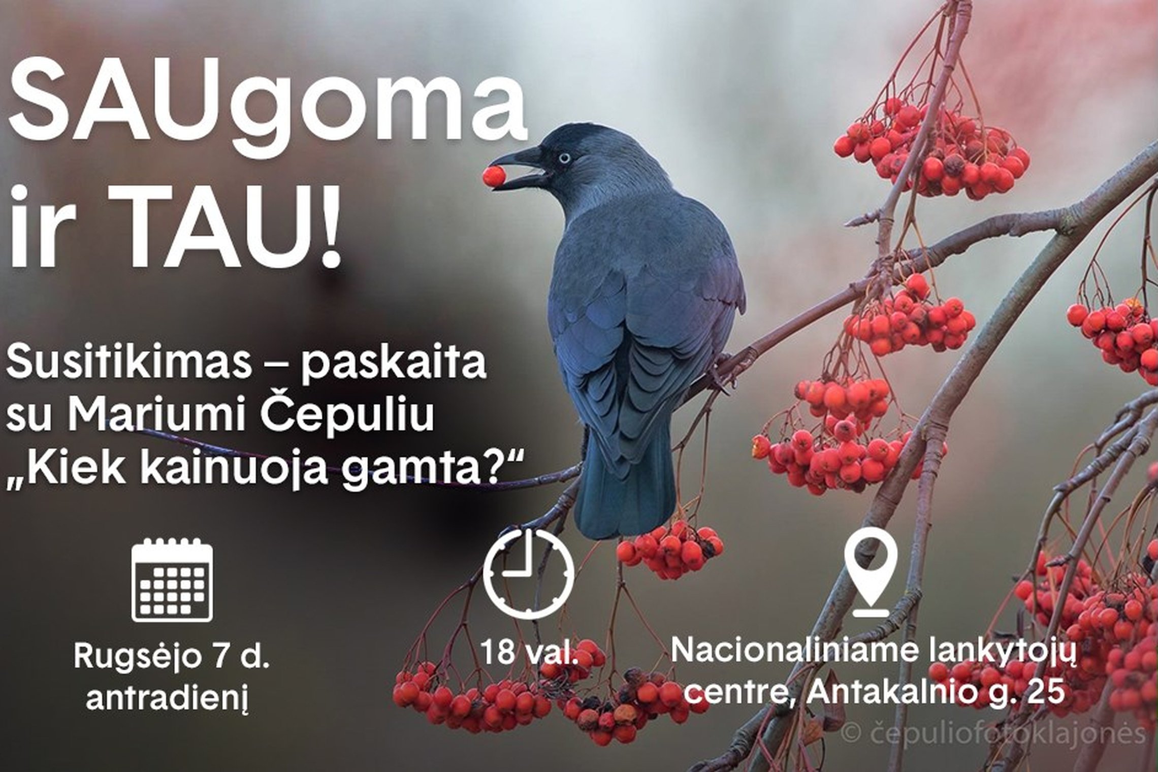 Iliustracija