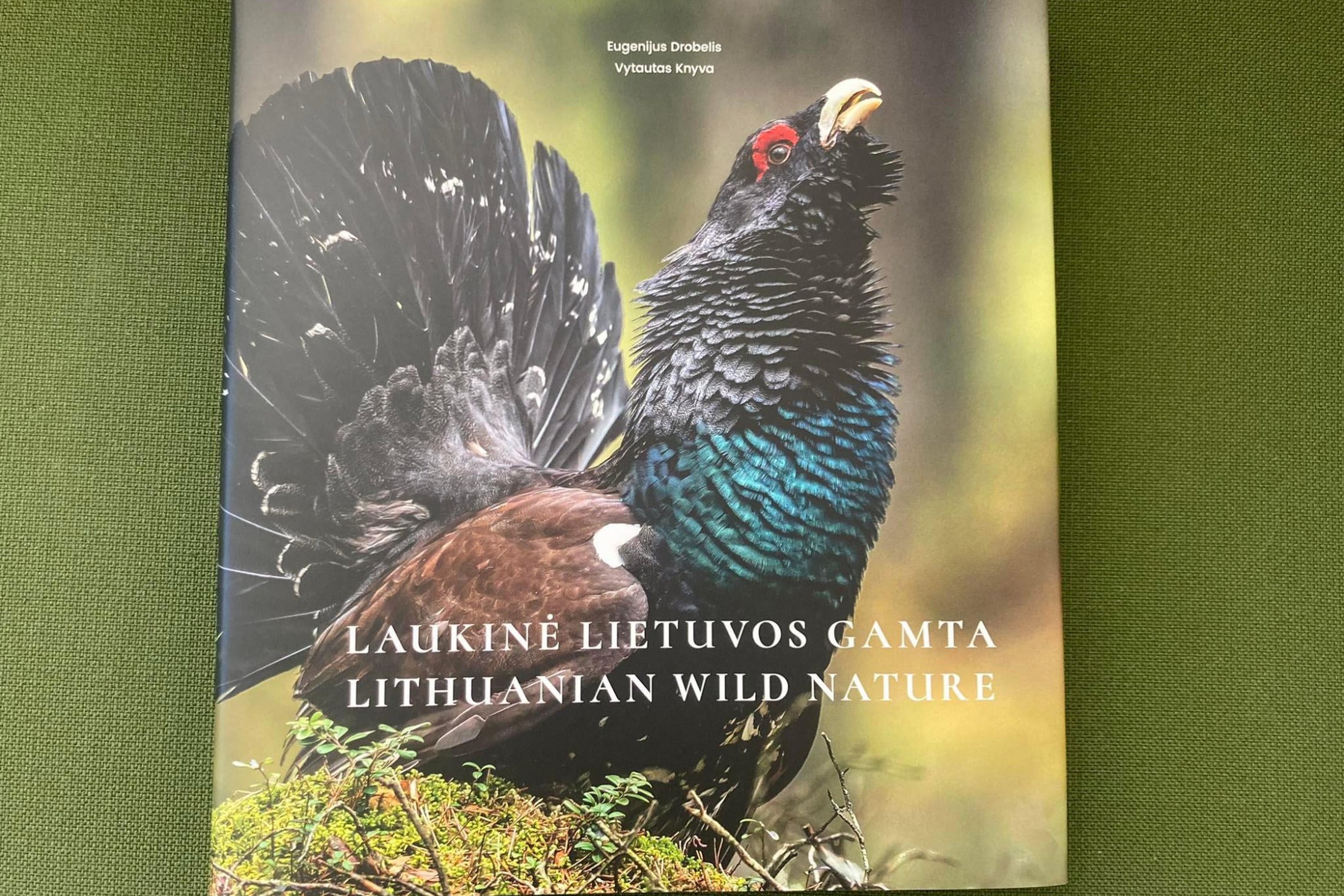 Iliustracija