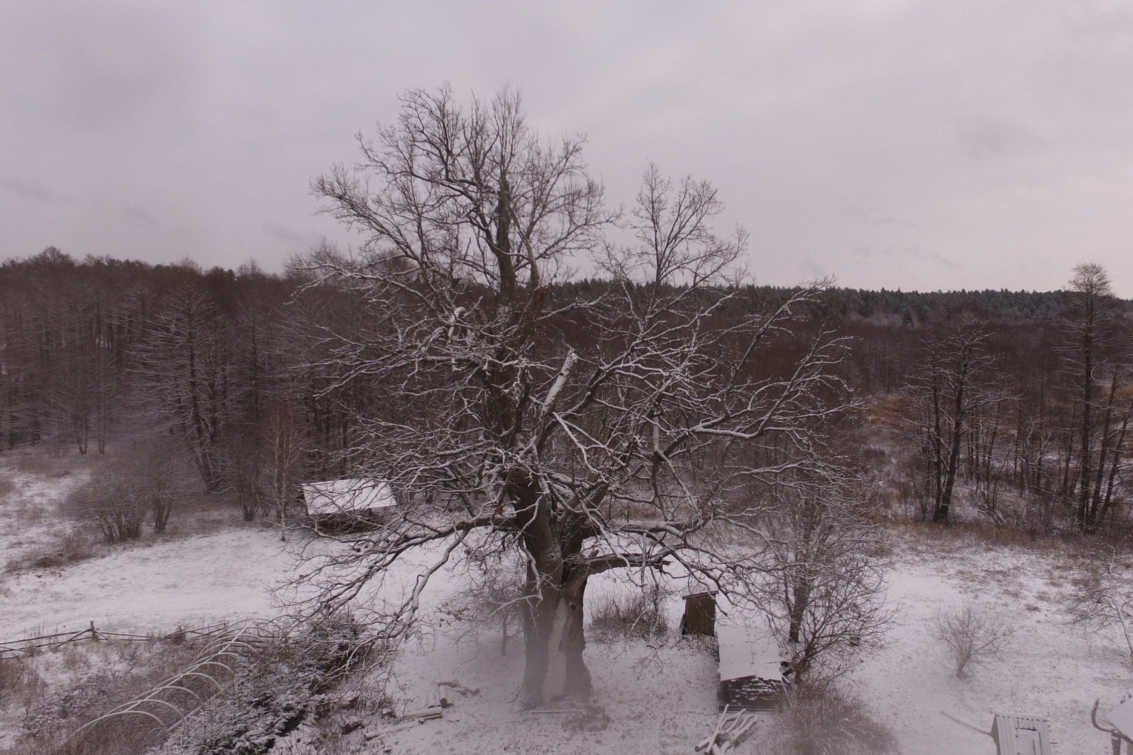 Iliustracija