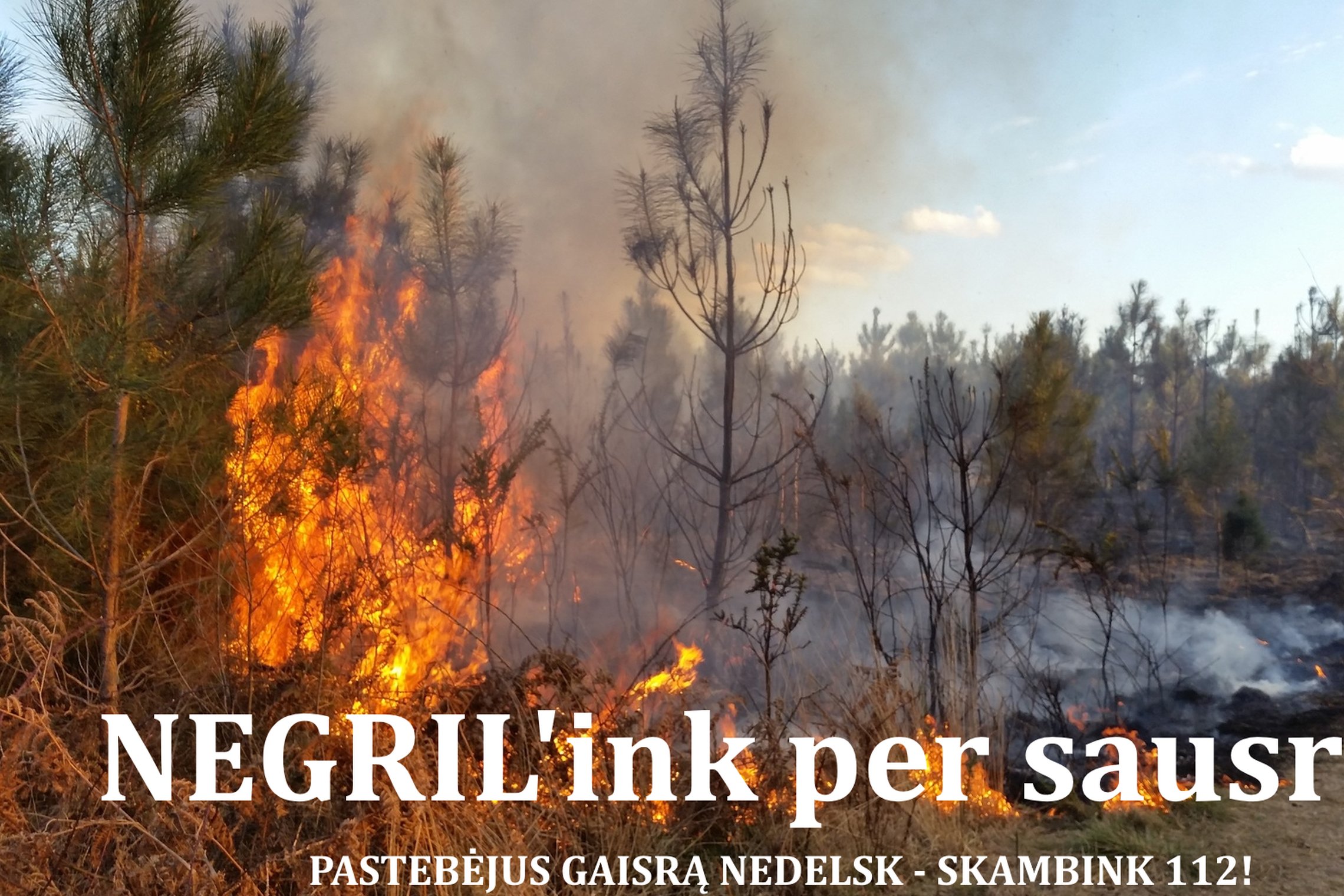 Iliustracija