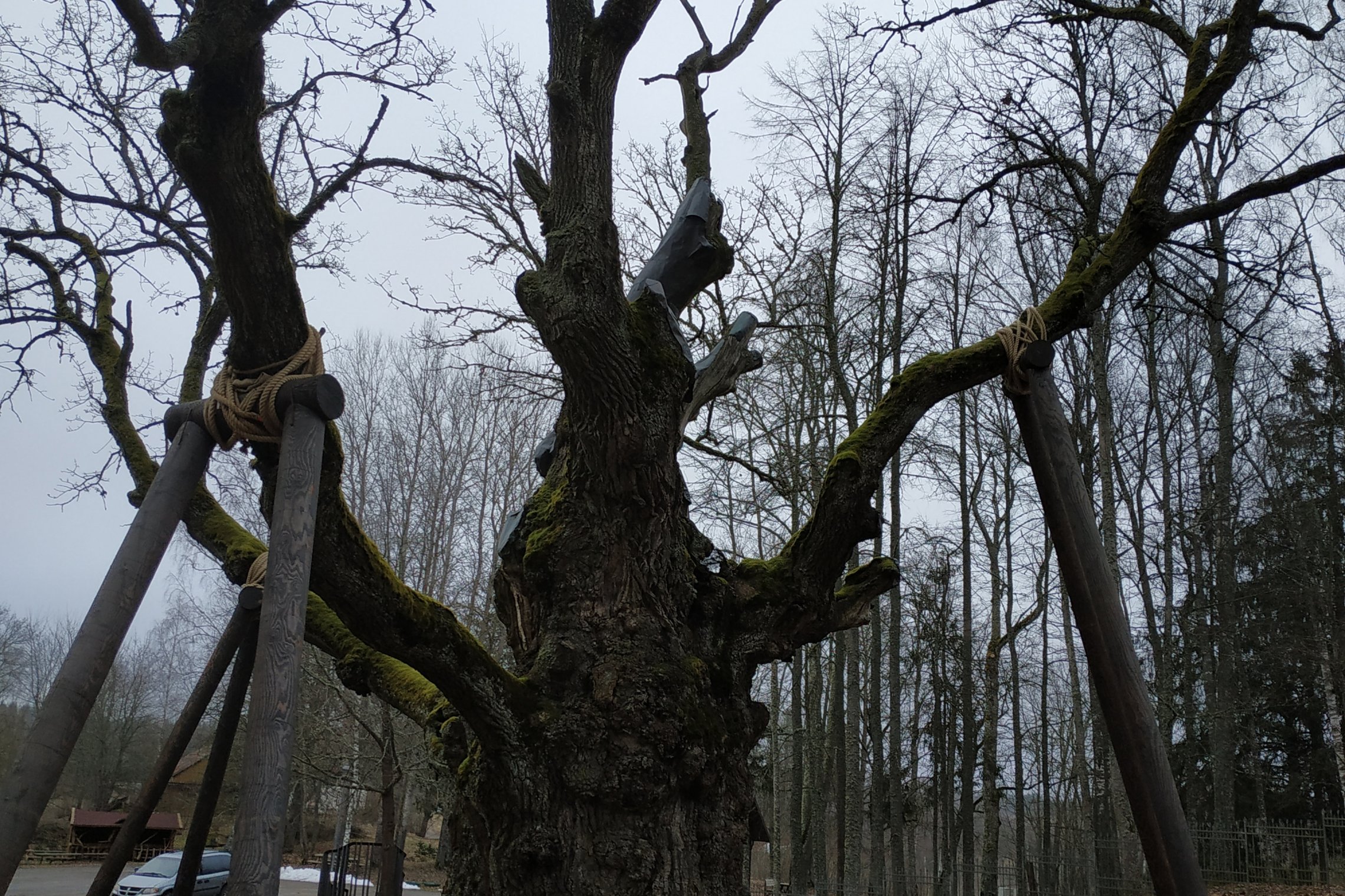 Iliustracija