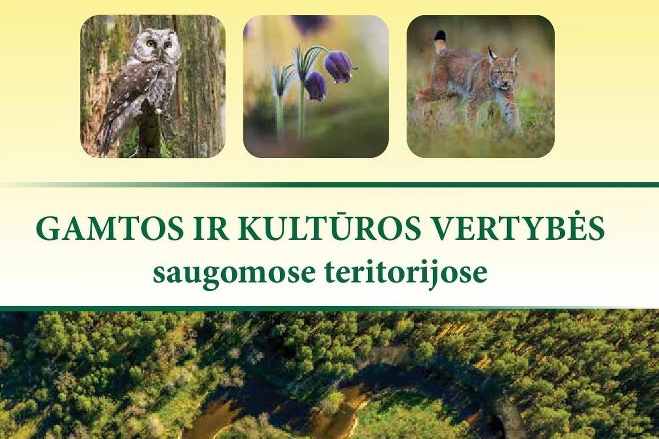 Iliustracija