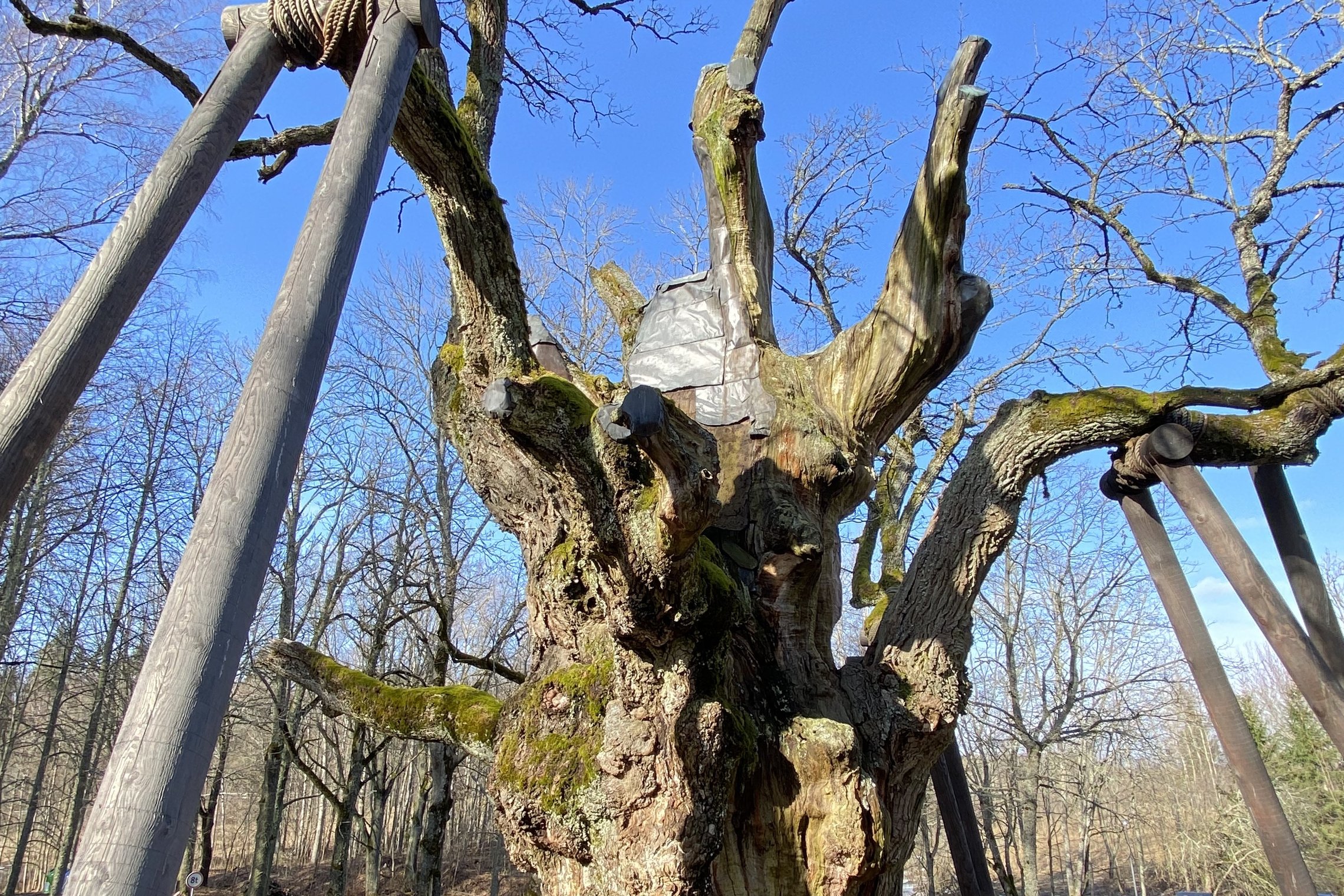 Iliustracija