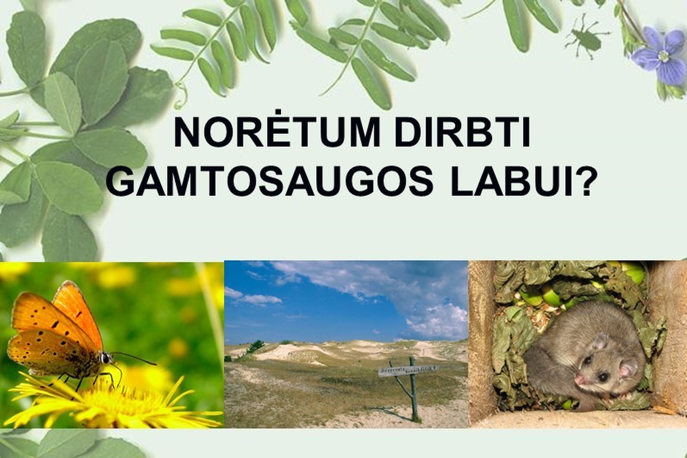 Iliustracija