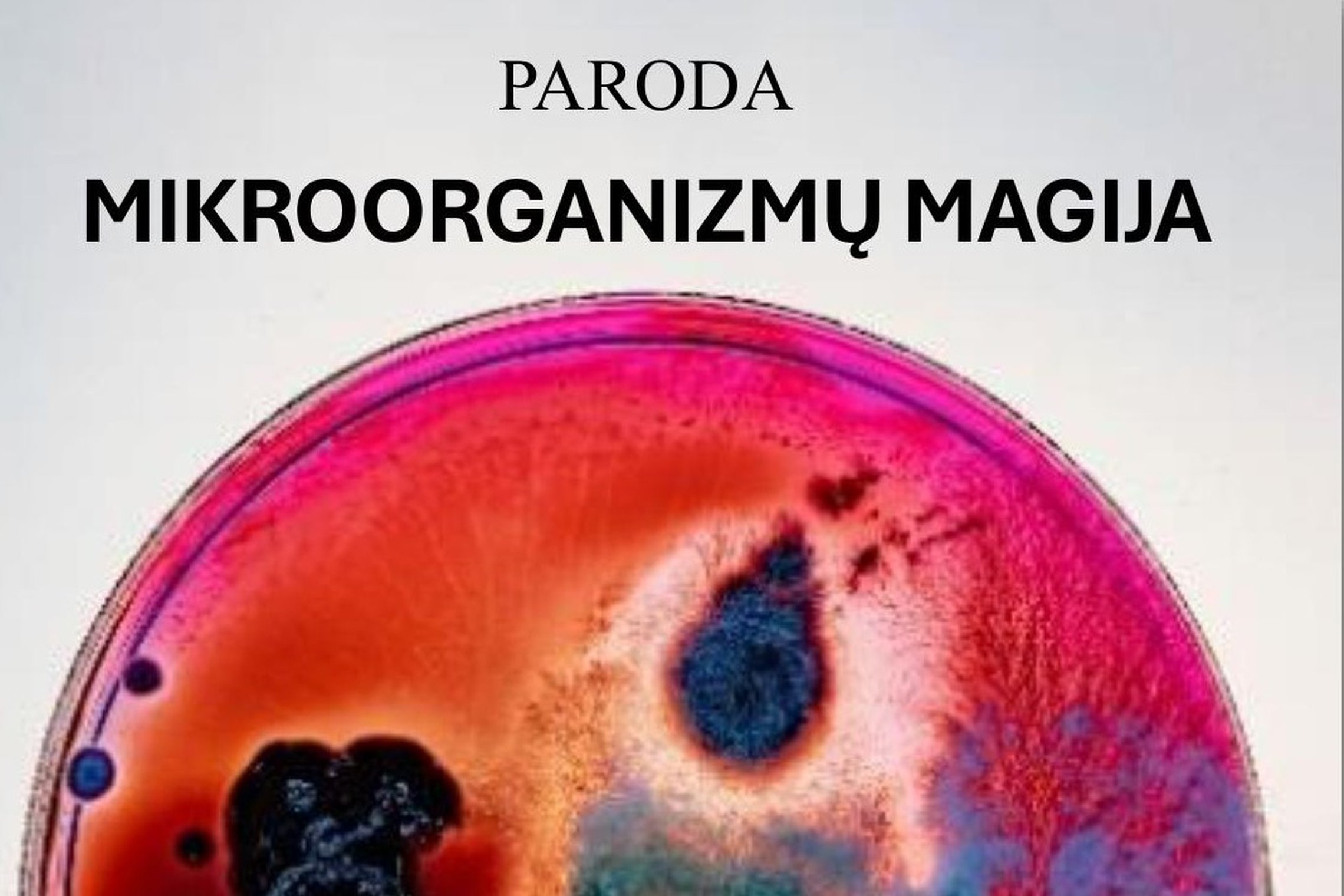 Iliustracija