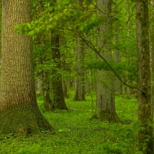 Žuvinto biosferos rezervatas