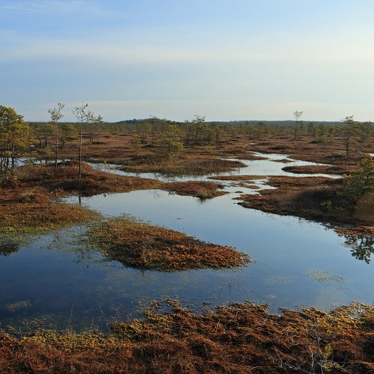 Kamanų gamtinis rezervatas