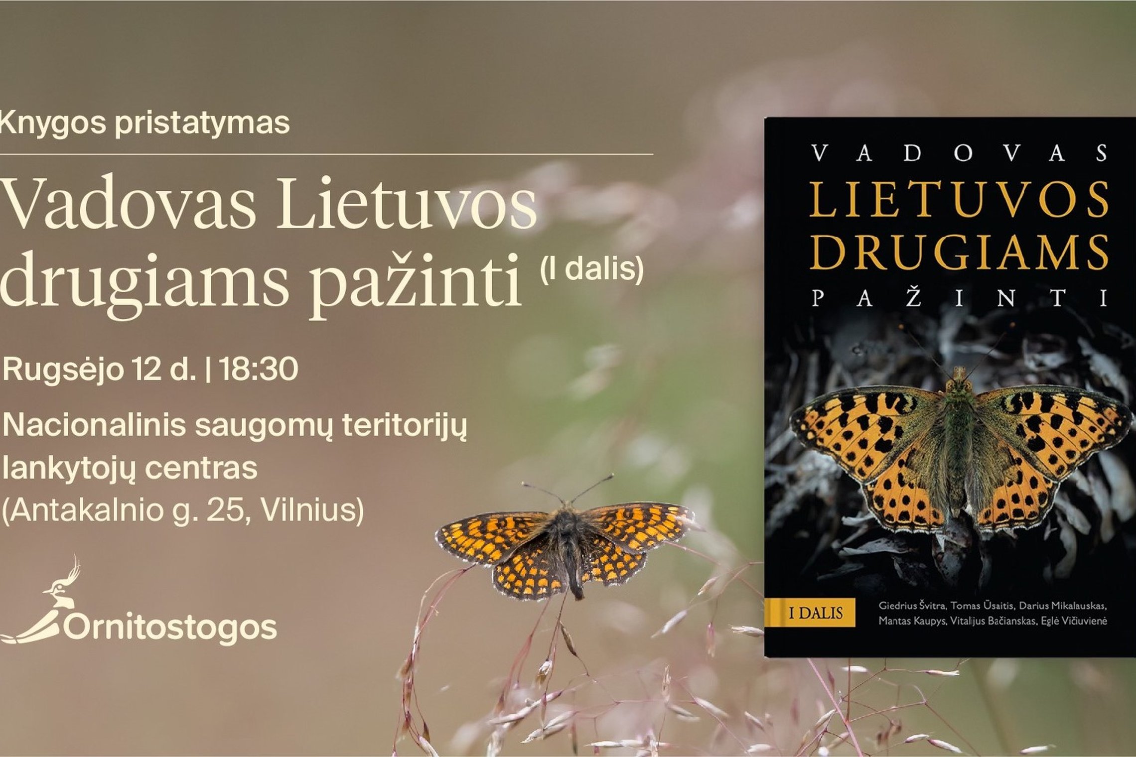 Iliustracija