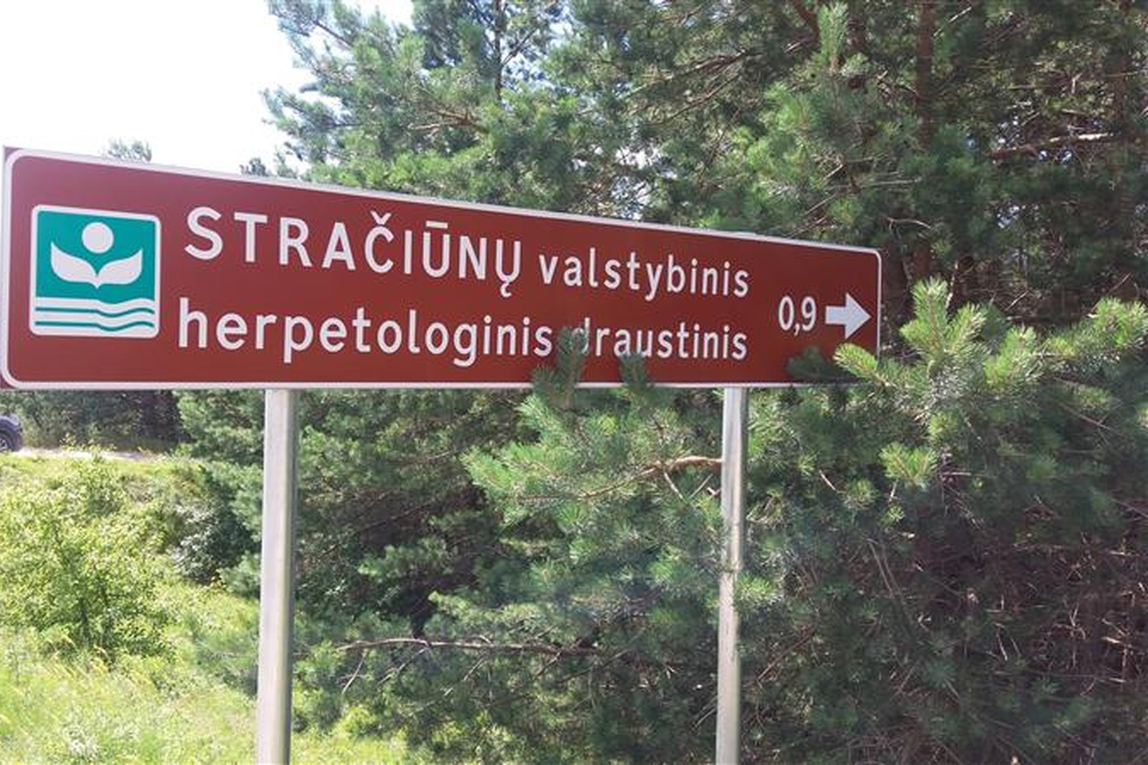 Iliustracija