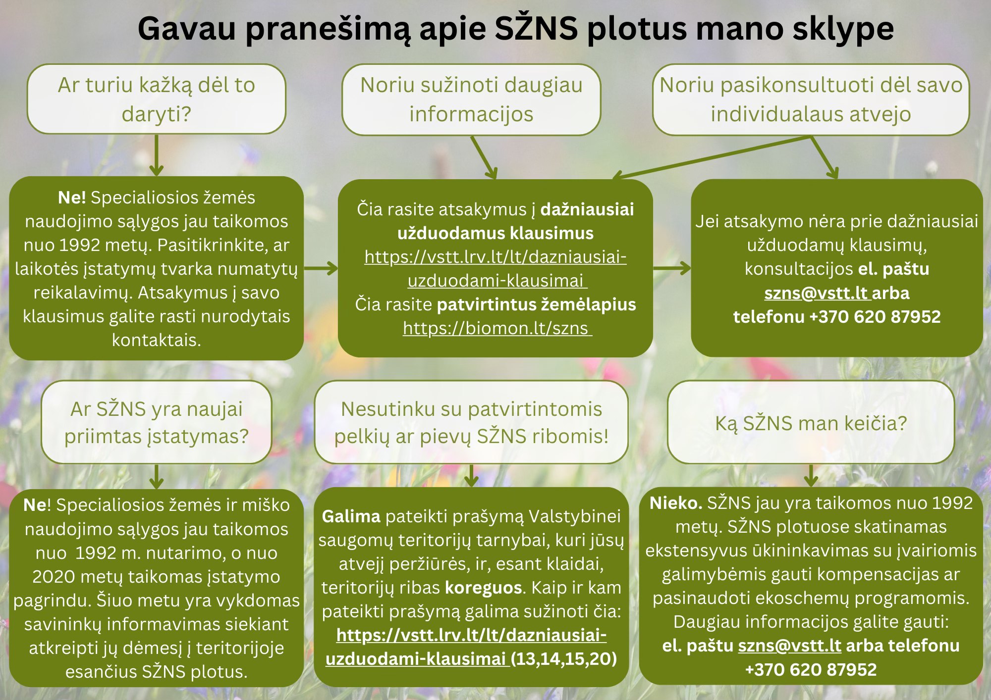 Vizualas apie natūralias pievas.jpg