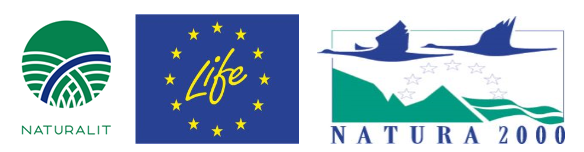 Visi logo.png
