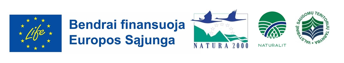 Nauji logo_visi.png