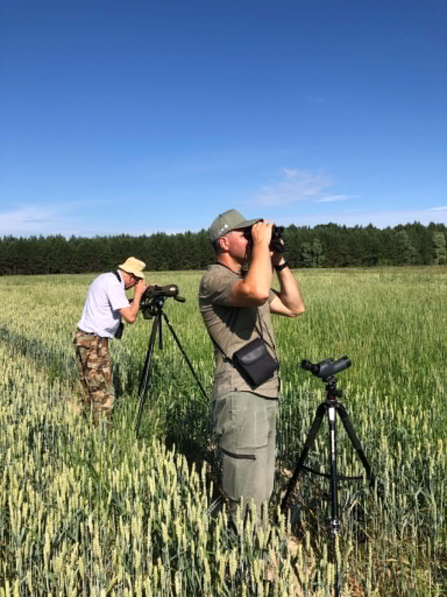Stazuote Biržu RP_11.jfif