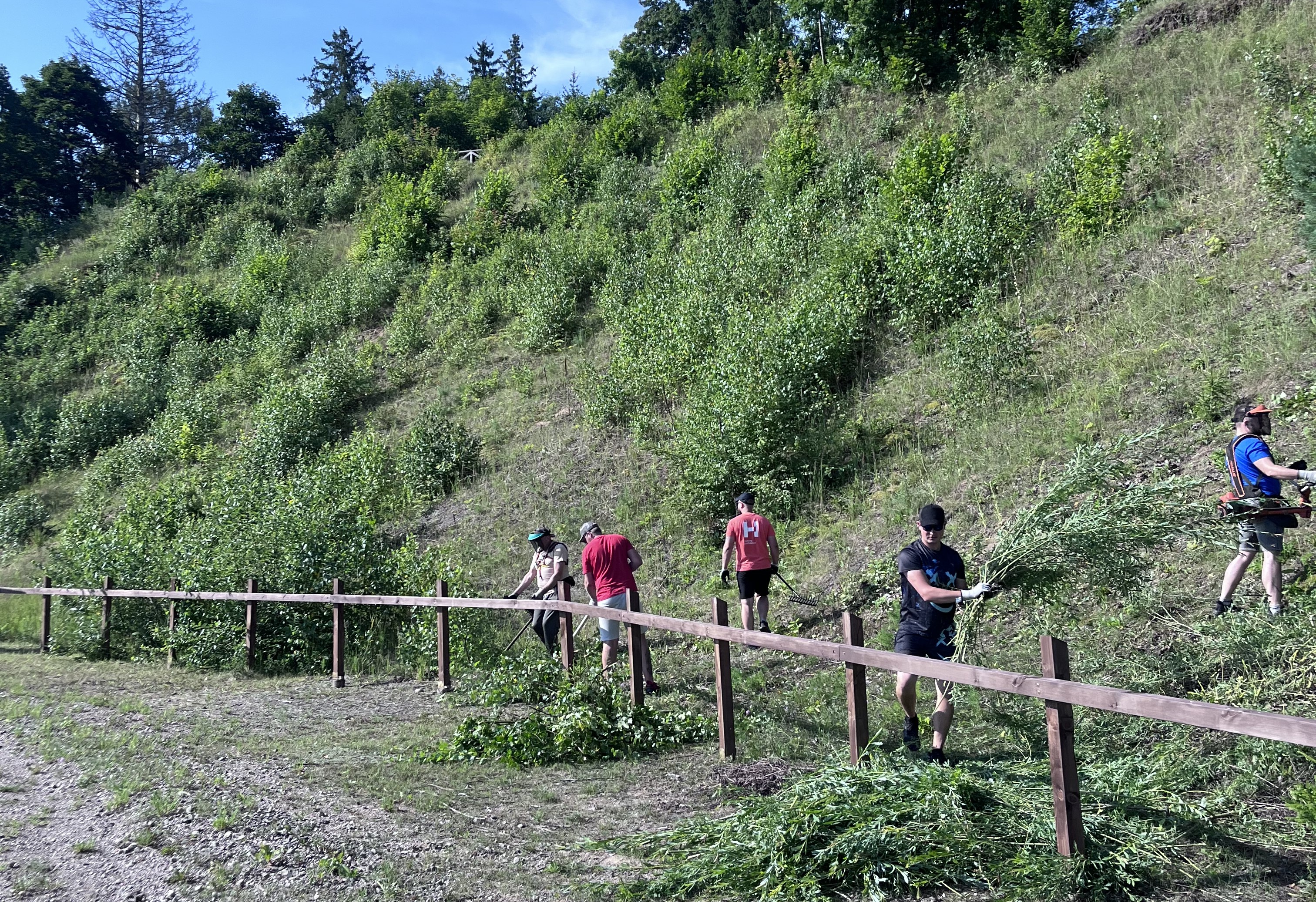 Zemaitijos NP talka.jpg